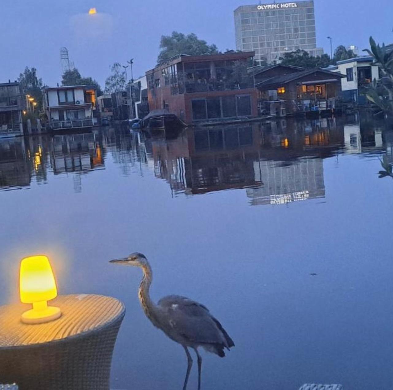 The New Lake Boathouse 阿姆斯特丹 外观 照片